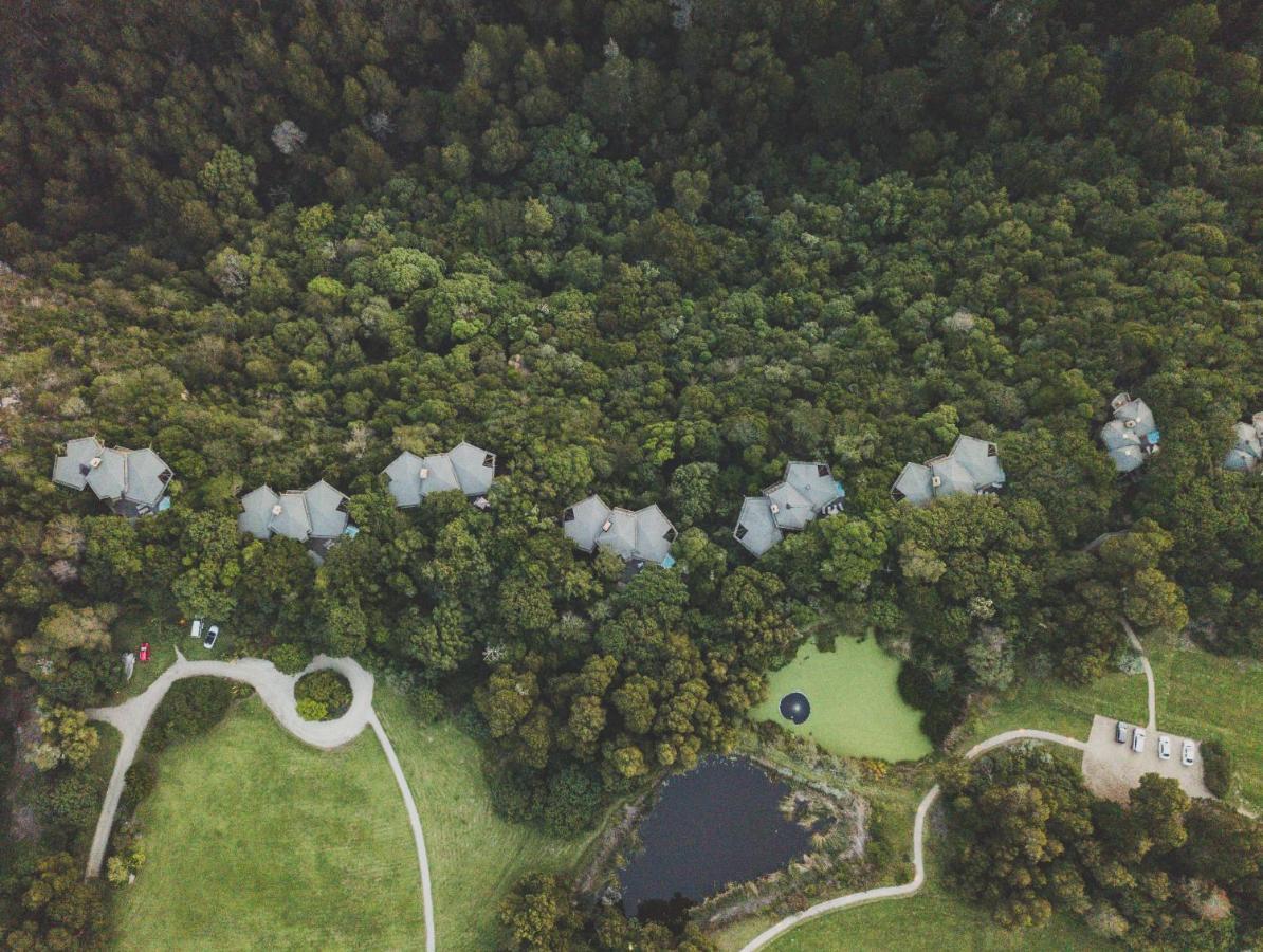Tsala Treetop Lodge Plettenberg Bay Exterior photo